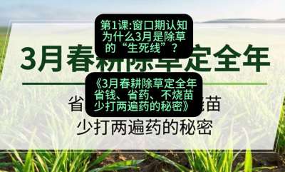 第1节：窗口期认知，为什么3月是除草的&ldquo;生死线&rdquo;？，课程：《3月春耕除草定全年：省钱、省药、不烧苗、少打两遍药的秘密》