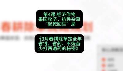 第4节：经济作物果园攻坚，抗性杂草&ldquo;起死回生&rdquo;局，课程：《3月春耕除草定全年：省钱、省药、不烧苗、少打两遍药的秘密》