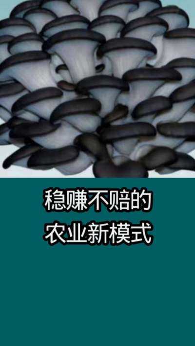 稳赚不赔的农业新模式
